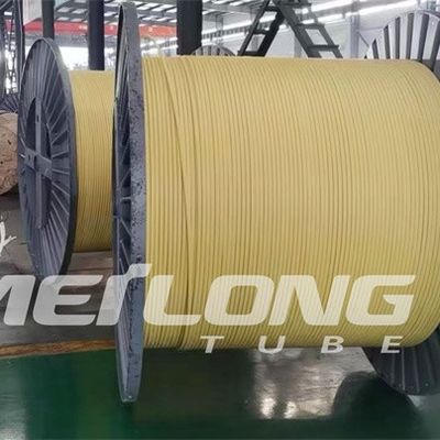 Τοποθετημένη σε κάψα γραμμή ελέγχου TP316L PVDF Flatpack με την υψηλή πίεση δύο σωλήνων