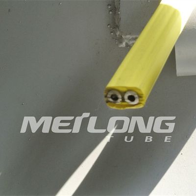 Τοποθετημένη σε κάψα γραμμή ελέγχου TP316L PVDF Flatpack με την υψηλή πίεση δύο σωλήνων