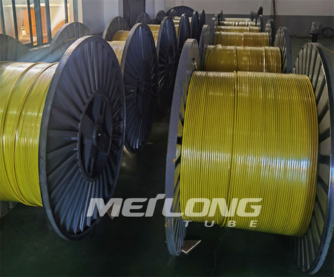 FEP TP316L τοποθέτησε τη χημική εγχύσεων σε κάψα γραμμή ελέγχου γραμμών υδραυλική