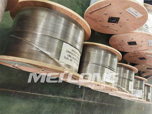 NACE MR0175 316L χημική εγχύσεων γραμμή ελέγχου γραμμών άνευ ραφής τοποθετημένη σε κάψα